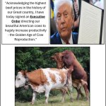 Historic Beef Prices - Meet Goden Age Of Cow Reproduction