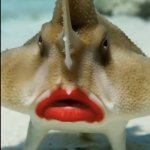 Lipstick Fish