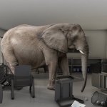 Elephant in the room
