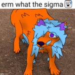 Erm, what the sigma