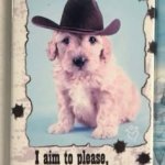 I aim to please but my aim aint that gppd