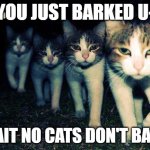 mrrp :3 | YOU JUST BARKED U-; WAIT NO CATS DON'T BARK | image tagged in memes,wrong neighboorhood cats | made w/ Imgflip meme maker