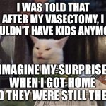 Smudge that darn cat | I WAS TOLD THAT AFTER MY VASECTOMY, I WOULDN'T HAVE KIDS ANYMORE. IMAGINE MY SURPRISE WHEN I GOT HOME AND THEY WERE STILL THERE. | image tagged in smudge that darn cat | made w/ Imgflip meme maker