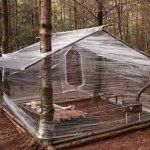 The Anti-Privacy Shack