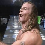 shawn michaels