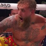 Jake Paul knockout