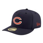 bears hat (transparent)