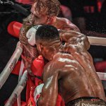 Joshua Paul Knockout