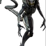 Xenomorph simon