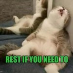 Rest if you need to | REST IF YOU NEED TO | image tagged in tired cat,rest,autism,recovery,christmas | made w/ Imgflip meme maker