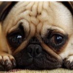 We miss you all dearly