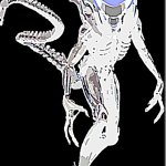 B R I T I S H (deep fried)