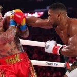 Boxer punched in the face