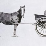 Cart Before The Horse
