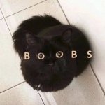BOOBS
