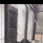 . | me on christmas day waking up my entire family (i am filled with the christmas spirit and must share it) | image tagged in gifs,christmas,relatable | made w/ Imgflip video-to-gif maker