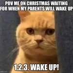 Xmass | POV ME ON CHRISTMAS WAITING FOR WHEN MY PARENTS WILL WAKE UP; 1.2.3. WAKE UP! | image tagged in de kuales gato | made w/ Imgflip meme maker