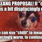 It is quite chilli during the day... | NEW SLANG PROPOSAL! If "chilly" means a bit displacingly cold... we can use "chilli" to mean a bit displacingly warm, to confuse people. | image tagged in chili dog,chilli,chili,slang,memes | made w/ Imgflip meme maker