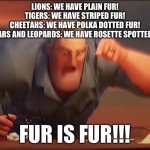 Fur of big cats | LIONS: WE HAVE PLAIN FUR!
TIGERS: WE HAVE STRIPED FUR!
CHEETAHS: WE HAVE POLKA DOTTED FUR!
JAGUARS AND LEOPARDS: WE HAVE ROSETTE SPOTTED FUR! FUR IS FUR!!! | image tagged in math is math | made w/ Imgflip meme maker