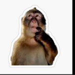 Thinking monkey