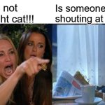 Meme Intruder | You're not the right cat!!! Is someone shouting at me? | image tagged in memes,woman yelling at cat,i should buy a boat cat | made w/ Imgflip meme maker