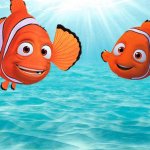 Rip nemo