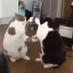 Detroit fight GIF Template