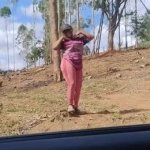 Papagaio kkkk GIF Template