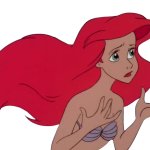 Ariel
