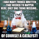 Chemistry Cat | I HAD MANY THINGS WRITTEN  THAT NEEDED TO HAPPEN HERE, ONLY ONE THING MISSING... OF COURSE! A CATALYST! | image tagged in memes,chemistry cat,catalyst | made w/ Imgflip meme maker