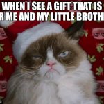 Grumpy Cat Christmas | WHEN I SEE A GIFT THAT IS FOR ME AND MY LITTLE BROTHER: | image tagged in grumpy cat christmas | made w/ Imgflip meme maker