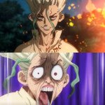 Dr. Stone shock
