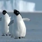 Animation Movie In 15 Minutes GIF Template