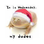 Christmas wednesday frog