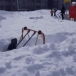 Just Wanted To Play On The Swing ! | image tagged in gifs,russian,swing,snow,digging | made w/ Imgflip video-to-gif maker