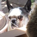 When ur friend casually farts in public