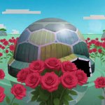 Roses Blooming in Hidden Kingdom