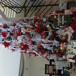 Christmas in Santa Cruz Trinidad