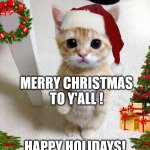 Merry Christamas and happy holidays to all of you imgflippers! | MERRY CHRISTMAS TO Y'ALL ! HAPPY HOLIDAYS! | image tagged in memes,cute cat,merry christmas,christmas,cat | made w/ Imgflip meme maker