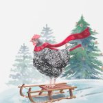 Chicken Christmas