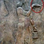 El Jesus Christmas tree