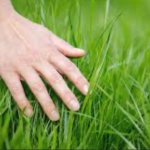 Go get a x and touch some y