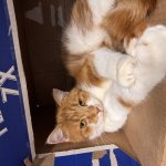 Why am I here? well it feels good