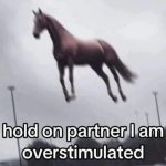 hold on partner i am overstimulated