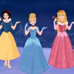 Franchise Disney Princesse