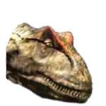 Walking with dinosaurs allosaurus head