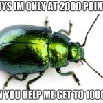beg | GUYS IM ONLY AT 2000 POINTS; CAN YOU HELP ME GET TO 10000? | image tagged in beetle,begging for upvotes,stop reading the tags,tag | made w/ Imgflip meme maker