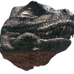 Walking with dinosaurs tyranosaurus rex