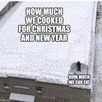 Snow Shoveling | HOW MUCH WE COOKED FOR CHRISTMAS AND NEW YEAR; HOW MUCH WE CAN EAT | image tagged in snow shoveling | made w/ Imgflip meme maker