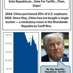 Republicans - Be Careful What You Vote For meme